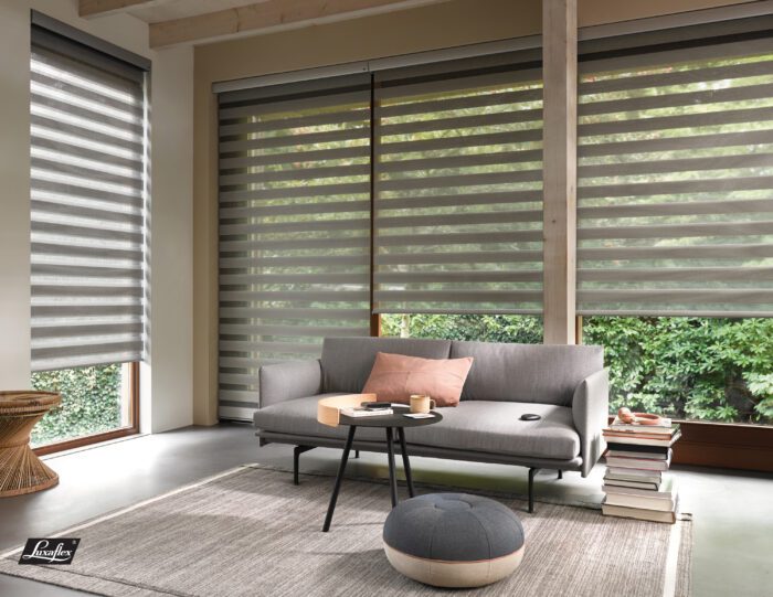 Day & Night Blinds Intelligent Shading