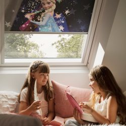 Velux Velux